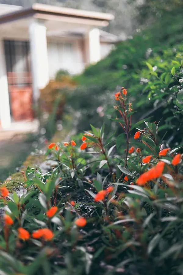 Flaming Tree Resorts Kiriwan Eliya Villa