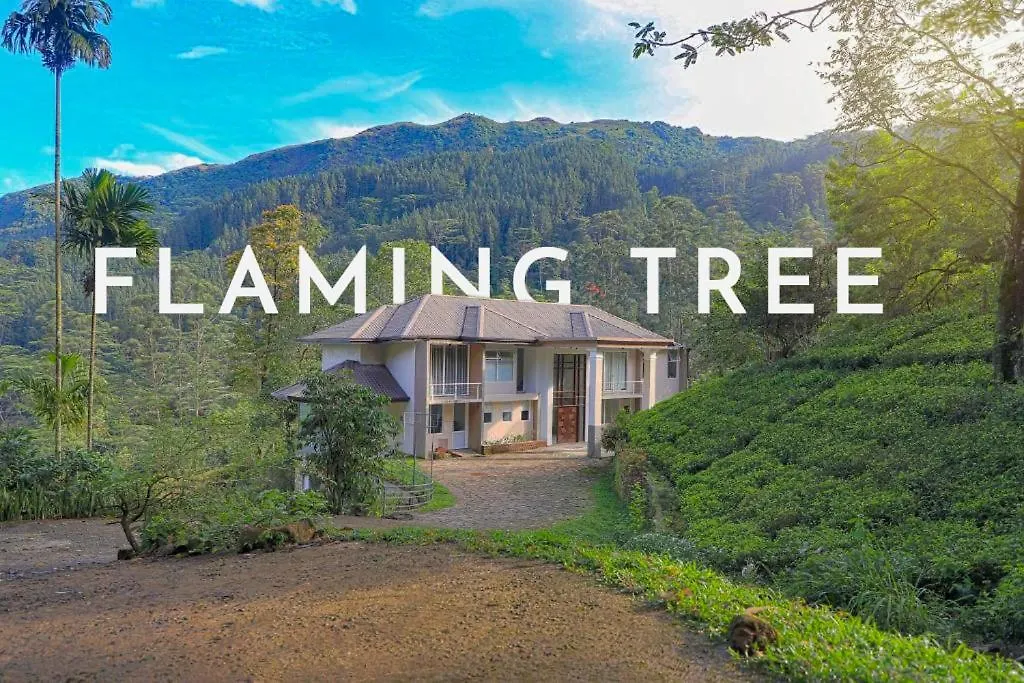 Flaming Tree Resorts Kiriwan Eliya