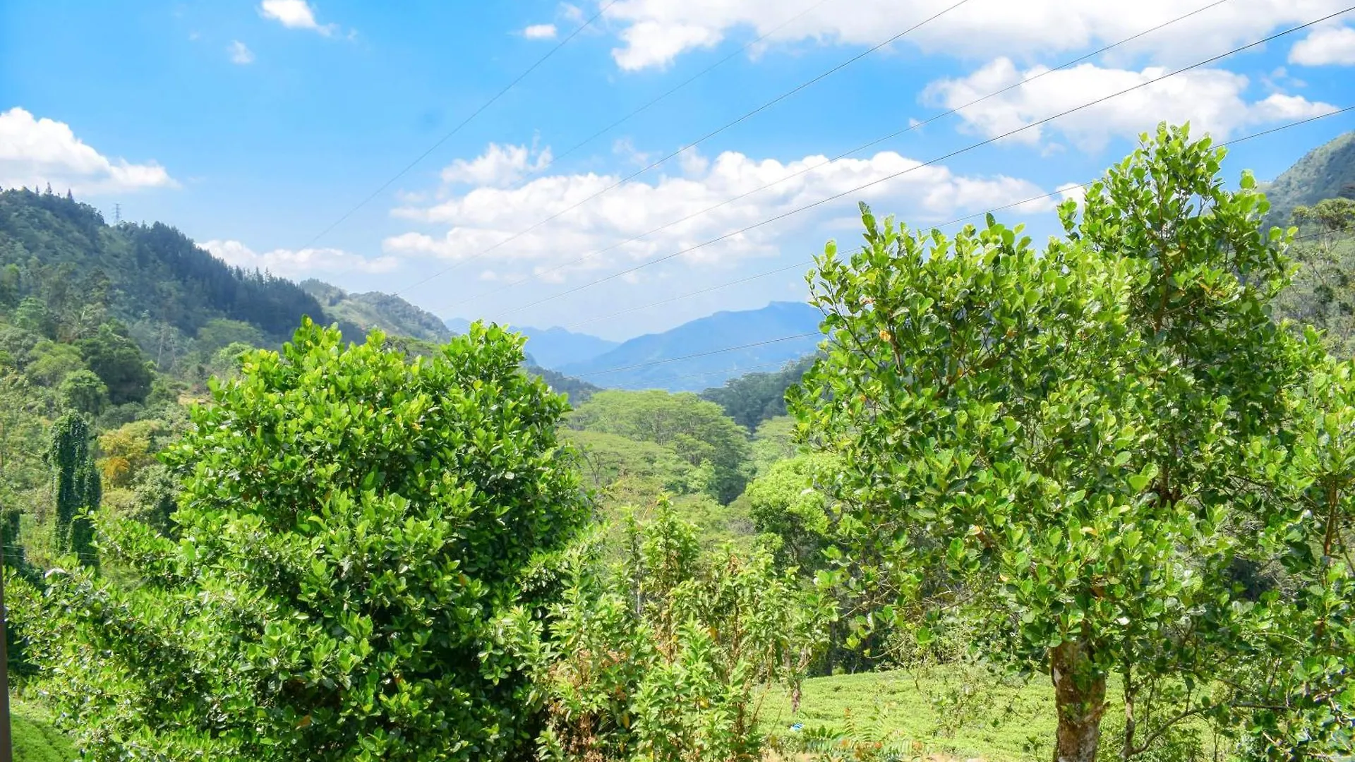 Flaming Tree Resorts Kiriwan Eliya
