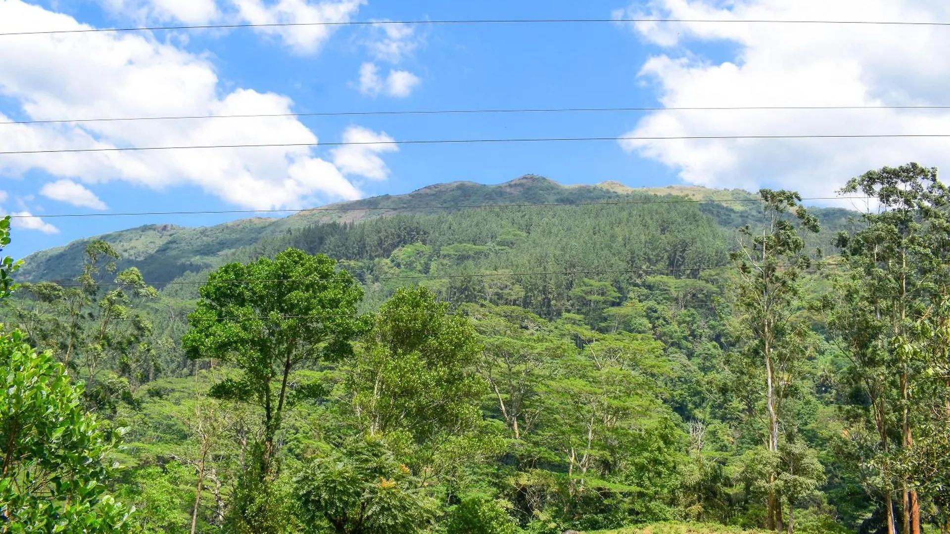 Flaming Tree Resorts Kiriwan Eliya Villa