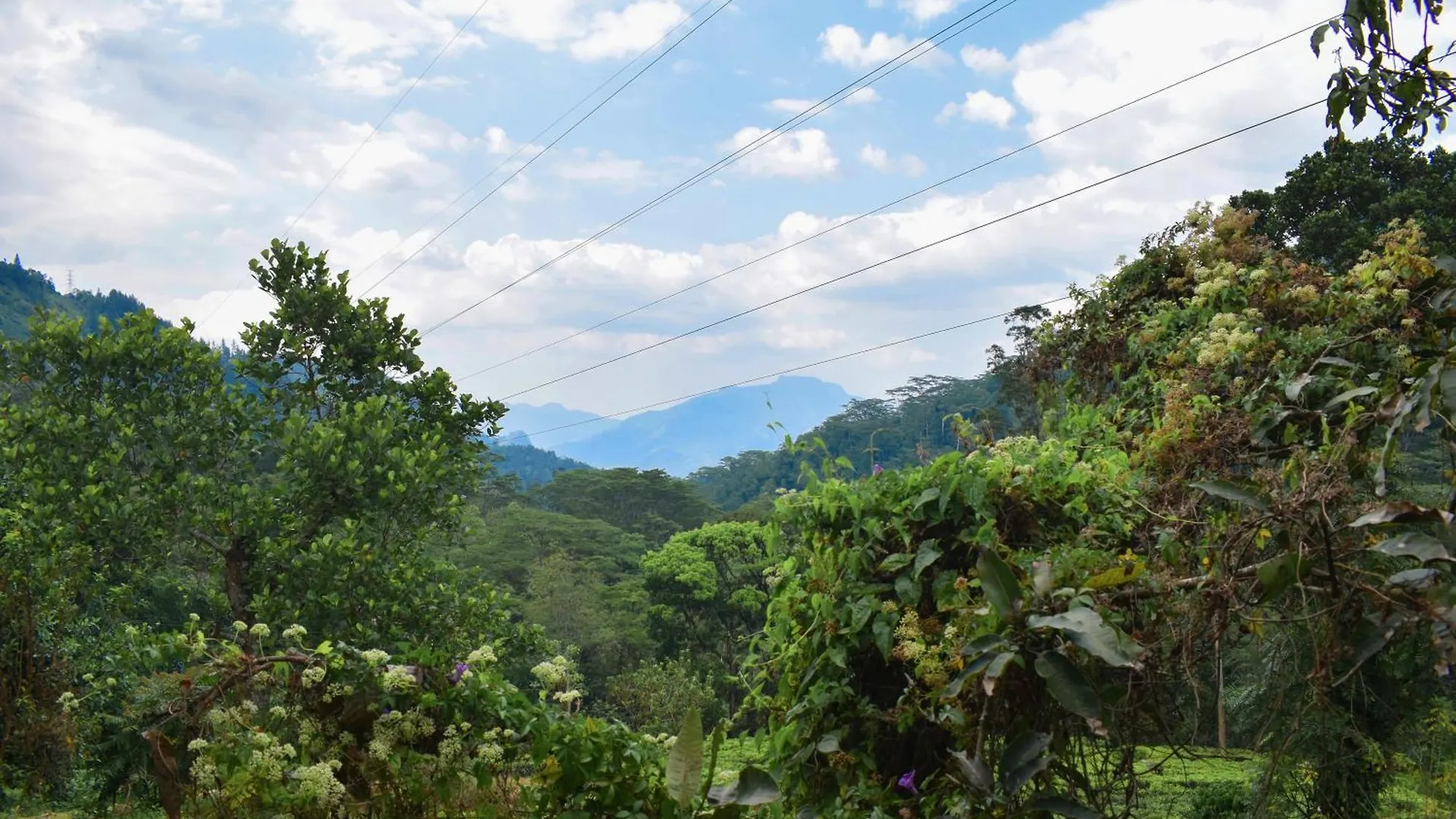 Flaming Tree Resorts Kiriwan Eliya