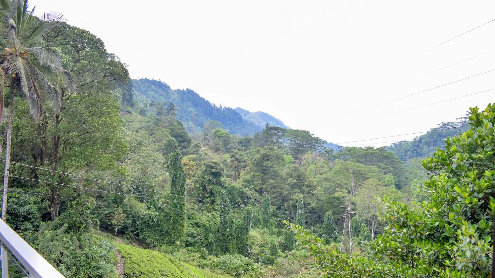 Flaming Tree Resorts Kiriwan Eliya Sri Lanka