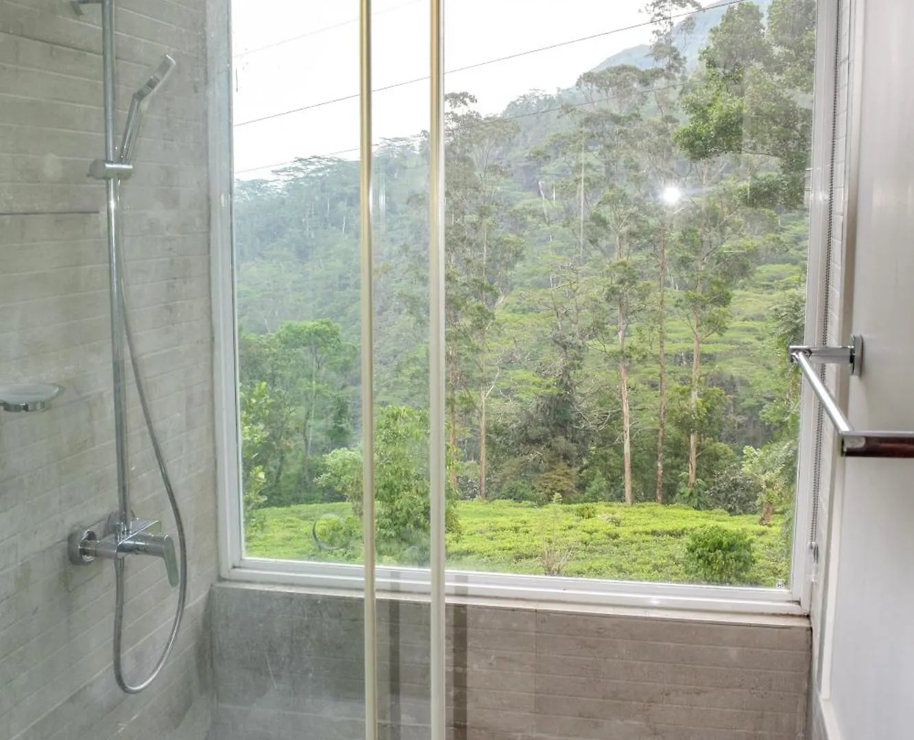 Flaming Tree Resorts Kiriwan Eliya Sri Lanka